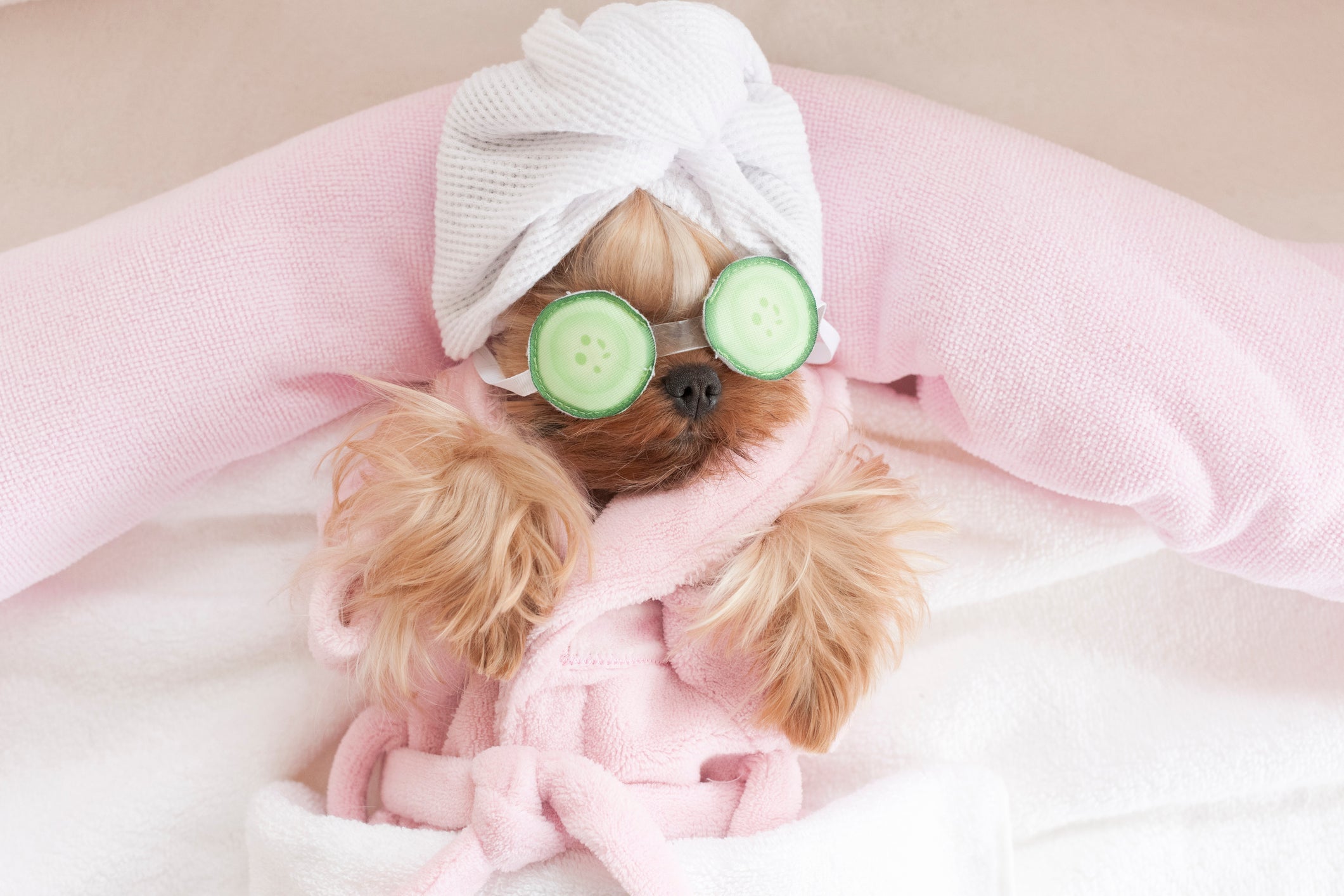 Bien-être : soins et détente