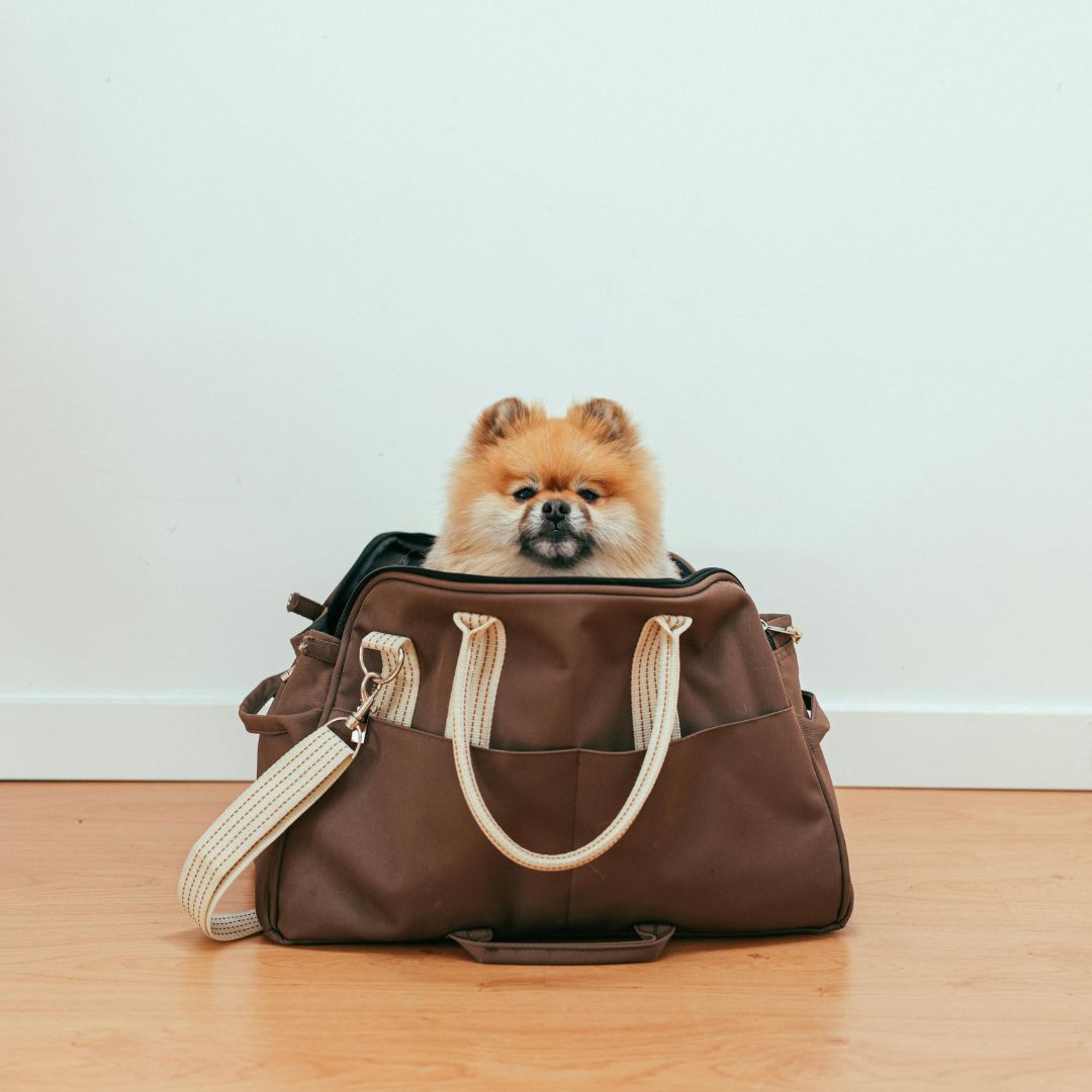 Aventure : prêts à partir