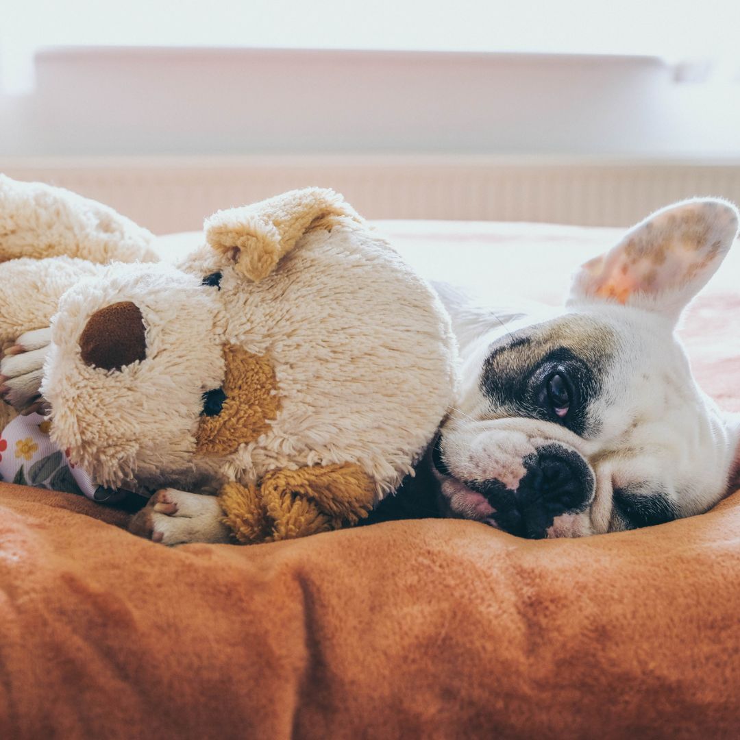 Maison : ambiance cosy