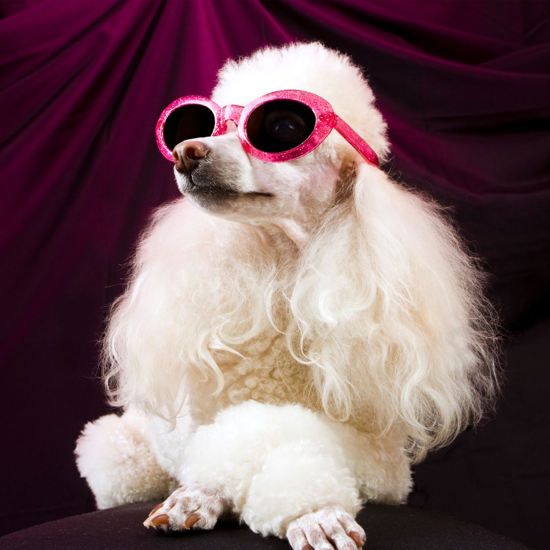 Elégance : Le vestiaire