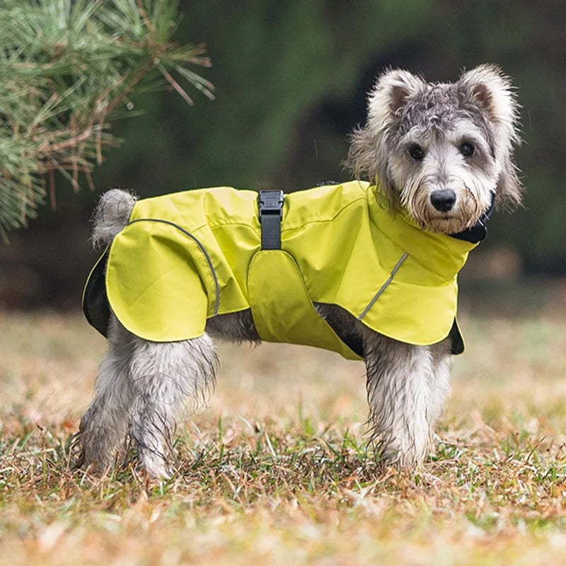 Imperméable Uniforme