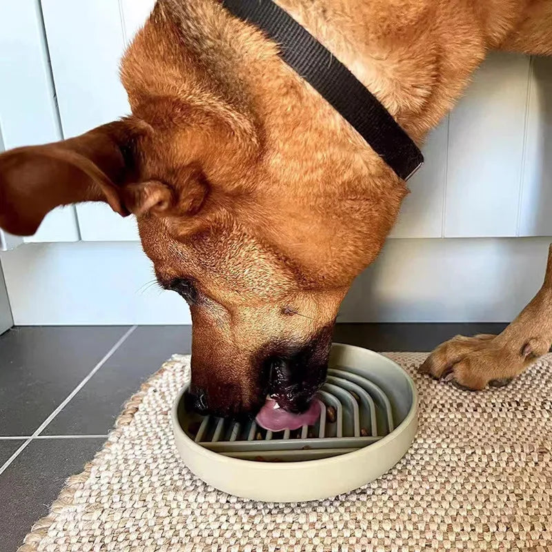 Assiette de Léchage en Silicone avec Ventouse