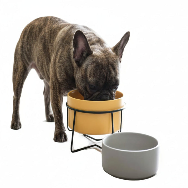 Bol en Céramique - Simple ou Double