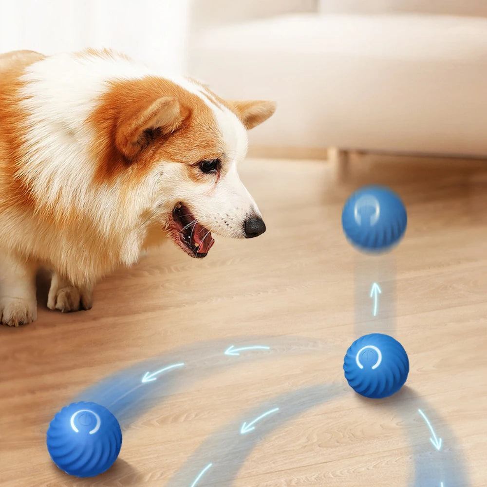 Balle Interactive Intelligente pour chien et chat