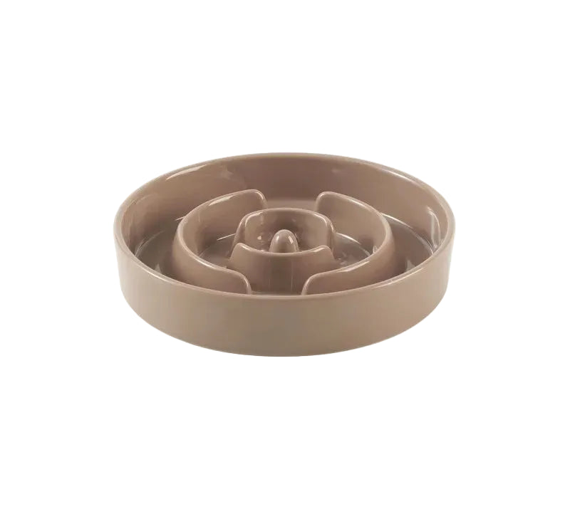 Bol Céramique Ultraélégant