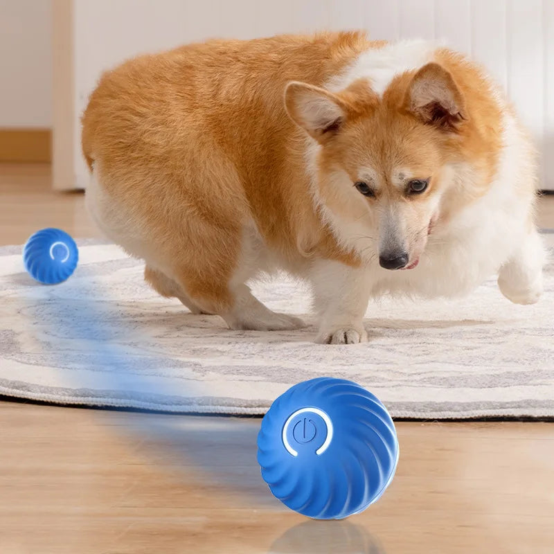 Balle Interactive Intelligente pour chien et chat